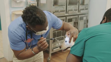 Dr. Hodges checks the eye response on emergency patient Koda, the dog. (National Geographic for Disney)