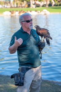 Expert falconer, Ken Miknuk, holds Bond, his trained Harris’ Hawk and “best friend.” (National Geographic/Jon Kroll)