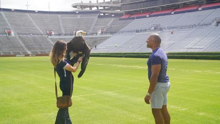 Christian Cooper admires Independence, Auburn's honorary War Eagle, during her pre-gameday flight practice with raptor trainer Amanda Sweeney. (National Geographic for Disney)
