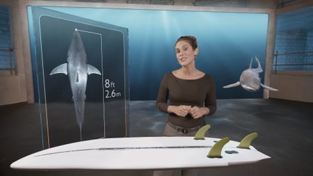 Dr. Diva Amon speaking to camera while in the shark lab studio with a GFX of Lee Jonsson's surfboard in front of her and a GFX Great White Shark swimming around in the background. (National Geographic)
