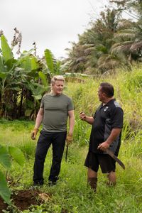 Gordon Ramsay and Kawika harvest Taro leaves. (National Geographic/Justin Mandel)