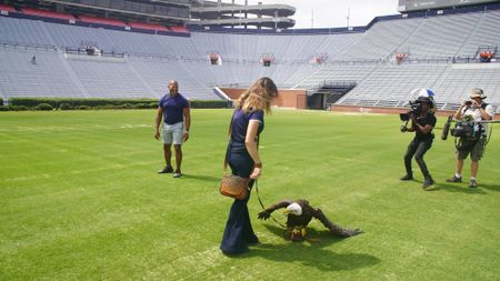 Christian Cooper assists rator trainer, Amanda Sweeney, with Independence's pre-gameday flight practice. (National Geographic for Disney)