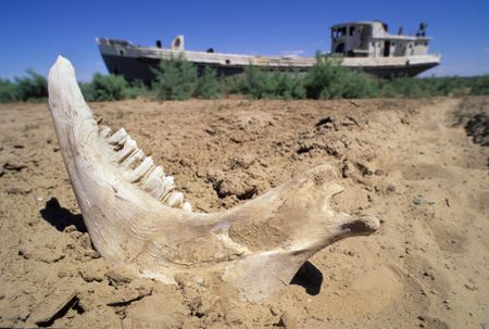 A farm animal's jaw sits on the dried Aral seabed, with an abandoned, beached ship in the background. MYSTERIOUS ISLANDS takes viewers on an unforgettable adventure to explore the most extraordinary and enigmatic islands on the planet. (Credit: MASSIMO BREGA/EURELIOS/SCIENCE PHOTO LIBRARY)