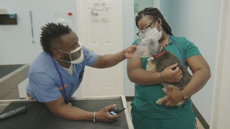 Dr. Hodges gives Ande, the dog, some chin scracthes before he goes home. (National Geographic for Disney)