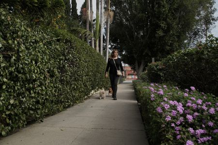 Kim walks Sweet Pea and Dilly on the sidewalk. (National Geographic)