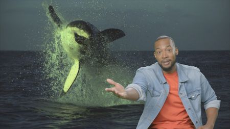 Comedian Keon Polee reacts to the massive Great White shark launches itself from below the surface. (National Geographic)