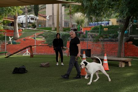 Adriana watches as Cesar does an exercise with Brunello. (National Geographic)