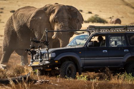 A Desert elephant comes face to face with the film crew in a rigged film vehicle, showing the gigantic size of the elephant in full. (National Geographic for Disney/Robbie Labanowski)