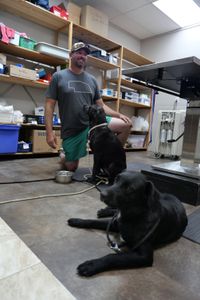 Dr. Ben Schroeder kneels to be close to the two black labs that were found. (National Geographic)