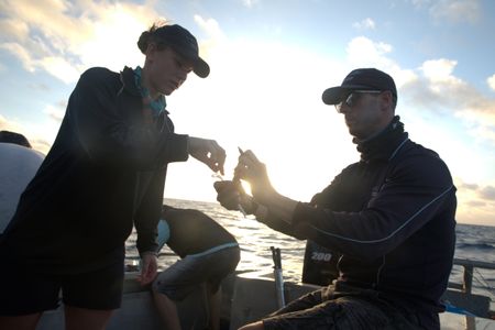 Lauren Meyer and Charlie Huveneers taking Tiger Shark samples. (National Geographic/Sophy Crane)