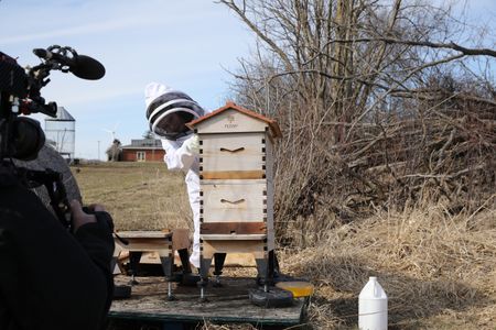 Beth Pol adds sugar water to the Pol family's hive that survived the Michigan winter. (National Geographic)