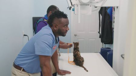 Dr. Hodges reviews the x-rays of Mixxie, the cat.(National Geographic for Disney)