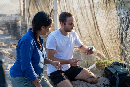 Liz Bonnin and turtle bioacoustics expert Dr. Gabriel Jorgewich-Cohen listen to olive ridley sea turtles vocalizing inside their eggs to synchronize hatching.  (National Geographic/Emilie Ehrhardt)