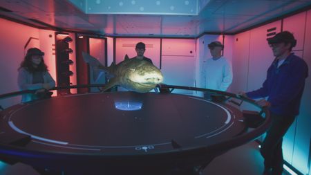 Melissa Marquez, Eric Stackpole, Nigel Hussey and Eric Ste-Marie analyze the Greenland shark's anatomy in the OceanXplorer's Hololab. (National Geographic)