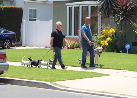 Cesar and Brandon walking with dogs on leashes. (National Geographic)