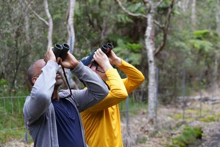 Christian Cooper and Bret Nainoa Mossman look for rare forest birds at the Pu'u Maka'ala Natural Area Reserve. (National Geographic for Disney/Troy Christopher)