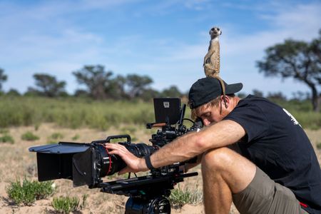 A meerkat uses cinematographer Adam Clarke as a vantage point to look out for predators. Meerkats at the Kalahari Research Centre are used to the presence of scientists, so see people as just another part of the landscape. (National Geographic/Emilie Ehrhardt)