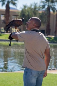Christian Cooper holds out his arm for Bond, a trained Harris’ Hawk, to land on the gauntlet after successfully dispersing the troublesome black-crowned night heron population at a park in Palm Desert, CA. (National Geographic/Jon Kroll)