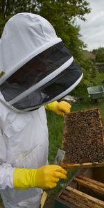 A bee keeper lifts a bee rack from the hive. (Big Wave Productions)