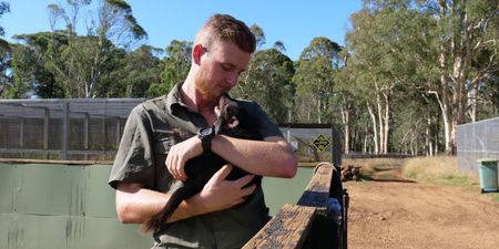 Tyler holding a tasmanian devil baby. (Big Wave Productions)