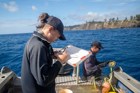 Lauren Meyer and Charlie Huveneers recording Tiger Shark data. (National Geographic/Sophy Crane)
