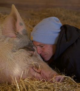 Todd Friedman kissing Katniss the pig. (Big Wave Productions)