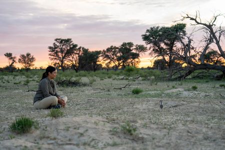 Liz Bonnin watches a meerkat gang emerge from their burrow at sunrise. (National Geographic/Emilie Ehrhardt)