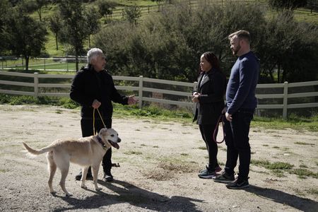 Cesar works with Sansa in front of pet parents Ashley and Derek. (National Geographic)