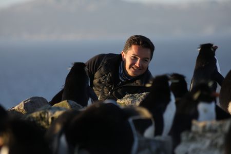 Dr. Pablo Borboroglu among Rockhopper penguins. (credit: National Geographic/Anthony Pyper)