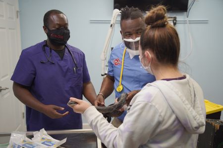 Vet tech, Savanna Phelps, holds an Eastern Ratsnake for Dr. Hodges to examine. (National Geographic for Disney/Sean Grevencamp)