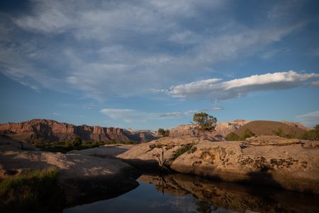 This small pool of water in Zion's desert attracts many bat species once sun sets. (National Geographic/Jeff Reed)