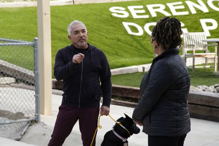 Cesar talks to Bo and her dog Shadow in front of the Serengeti Dog Park. (National Geographic)