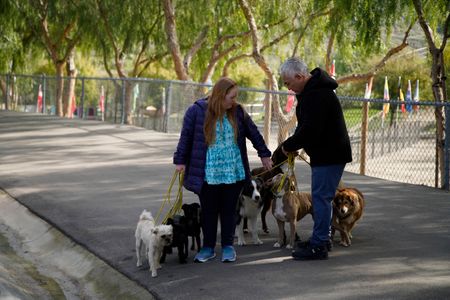 Cesar helps Madlyn with a walking exercise with Dog Psychology Center dogs and Murphy. (National Geographic)