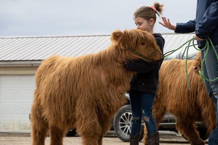 Brinley hugs her six month old highland cow Alora. The Govitzs' chose the Scottish highland breed because of their calm temperament. (National Geographic/Grace Sabwira)