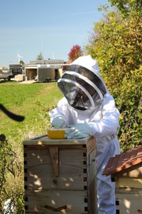 Beth Pol, in a bee suit, creates sugar water to feed the Pol family farm's bee colonies. (National Geographic)