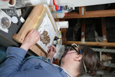 Alexandra Winkels examines recent artefacts found at the Pi Ramesses dig site in Egypt. (Windfall Films)