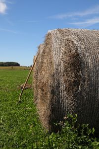 Hay bales, wrapped in net wraps, at the Pol family's farm. (National Geographic)