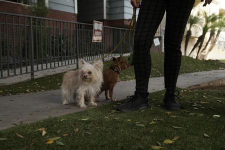 Sweet Pea and Dilly. (National Geographic)