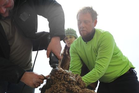 Charles Pol shears the wool of one of the pregnant Merino sheep while Beth Pol and Ben Reinhold hold the sheep down. (National Geographic)