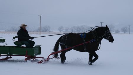Dr. Ben Schroeder takes the a sleigh for a test drive with his horse Victor. (National Geographic)
