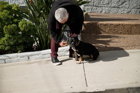 Cesar puts a leash on Betty. (National Geographic)