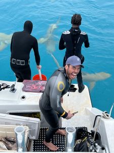 Ross Edgley getting ready to dive with tiger sharks for the first time with Sean Williams and Stephon K. Forbes at Tiger Beach. (National Geographic/Nathalie Miles)