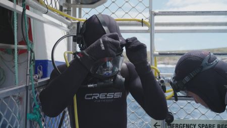 Charlie Huveneers adjusting his diving mask in preparation for diving inside the cage to take a closer look at the nearby Great White Shark. (National Geographic/Jonathan Shaw)