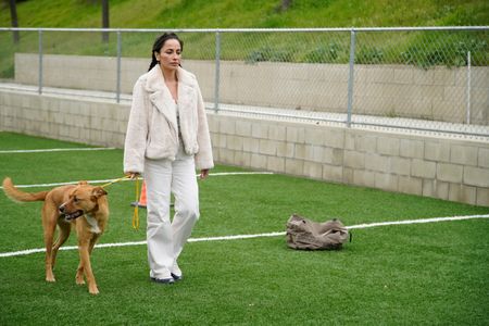 Adriana in an exercise with a DPC dog from Cesar's Pack. (National Geographic)