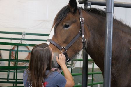 Kate Greckel pets her horse June as she's being examined. (National Geographic)