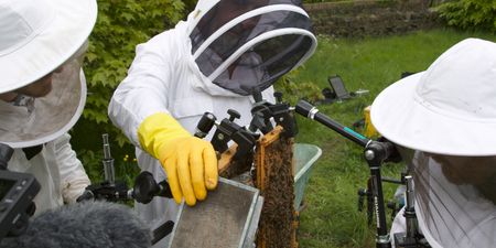 People in beekeeping suits holding clamps. (Big Wave Productions)