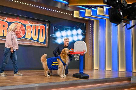 DIANA FROHMAN, JAMES (DOG), SAM CHAMPION, AIR BUD