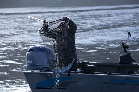 Cole Sturgis successfully catches a winter king salmon for his dinner. (BBC Studios Reality Productions, LLC/Lukas Taylor)