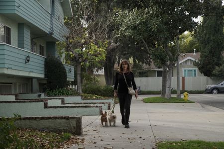 Kim walks Sweet Pea and Dilly on the sidewalk. (National Geographic)