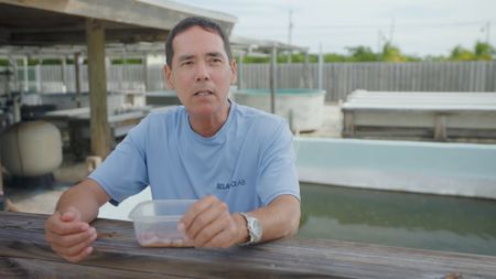 Dr. Stephen Kajiura, expert, discussing his experiment with Bonnet Head Sharks whilst in Florida Keys and measuring how important vision is for sharks to sense and hunt out their pray whilst swimming in murky waters. (National Geographic)
